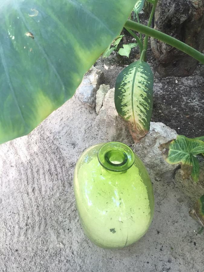Agua Eco Design Hotel トゥルム エクステリア 写真