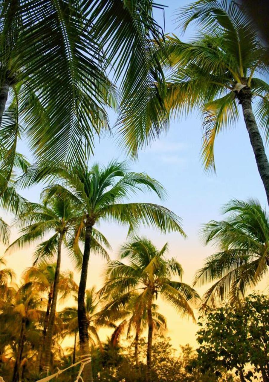 Agua Eco Design Hotel トゥルム エクステリア 写真